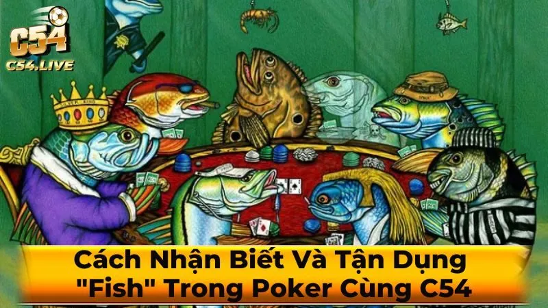 Cách Tận Dụng "Fish" để Tăng Lợi Nhuận