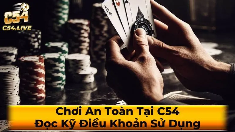 Các điều khoản sử dụng quan trọng cần lưu ý